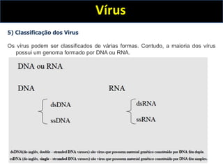 Vírus
5) Classificação dos Virus
Os vírus podem ser classificados de várias formas. Contudo, a maioria dos vírus
possui um genoma formado por DNA ou RNA.
 