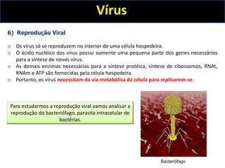 Vírus
6) Reprodução Viral
o Os vírus só se reproduzem no interior de uma célula hospedeira.
o O ácido nucléico dos vírus possui somente uma pequena parte dos genes necessários
para a síntese de novos vírus.
o As demais enzimas necessárias para a síntese protéica, síntese de ribossomos, RNAt,
RNAm e ATP são fornecidas pela célula hospedeira.
o Portanto, os vírus necessitam da via metabólica da célula para replicarem-se.
Para estudarmos a reprodução viral vamos analisar a
reprodução do bacteriófago, parasita intracelular de
bactérias.
Bacteriófago
 
