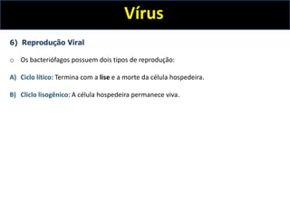 Vírus
6) Reprodução Viral
o Os bacteriófagos possuem dois tipos de reprodução:
A) Ciclo lítico: Termina com a lise e a morte da célula hospedeira.
B) Cliclo lisogênico: A célula hospedeira permanece viva.
 