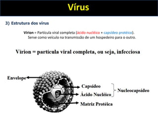 Vírus
3) Estrutura dos vírus
Vírion = Partícula viral completa (ácido nucléico + capsídeo protéico).
Serve como veículo na transmissão de um hospedeiro para o outro.
 