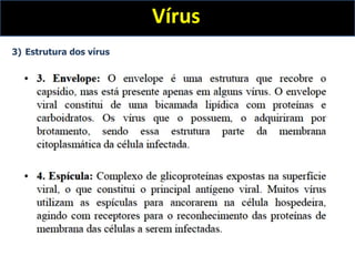 Vírus
3) Estrutura dos vírus
 