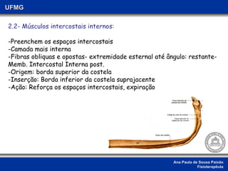 Ana Paula de Sousa Paixão Fisioterapêuta UFMG 2.2- Músculos intercostais internos: -Preenchem os espaços intercostais -Camada mais interna -Fibras obliquas e opostas- extremidade esternal até ângulo: restante- Memb. Intercostal Interna post. -Origem: borda superior da costela -Inserção: Borda inferior da costela suprajacente -Ação: Reforça os espaços intercostais, expiração 