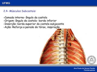 Ana Paula de Sousa Paixão Fisioterapêuta UFMG 2.4- Músculos Subcostais: -Camada interna- ângulo da costela -Origem: ângulo da costela- borda inferior -Inserção: borda superior da costela subjacente  -Ação: Reforça a parede do tórax, inspiração 
