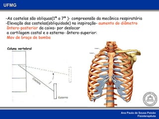 Ana Paula de Sousa Paixão Fisioterapêuta UFMG -As costelas são obliquas(1ª a 7ª )- compreensão da mecânica respiratória -Elevação das costelas(obliquidade) na inspiração-  aumento do diâmetro   ântero-posterior  da caixa- por deslocar  a cartilagem costal e o esterno- ântero-superior:  Mov de braço de bomba Coluna vertebral 