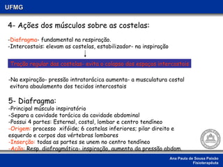 Ana Paula de Sousa Paixão Fisioterapêuta UFMG 4- Ações dos músculos sobre as costelas: - Diafragma - fundamental na respiração. -Intercostais: elevam as costelas, estabilizador- na inspiração Tração regular das costelas- evita o colapso dos espaços intercostais Na expiração- pressão intratorácica aumenta- a musculatura costal evitara abaulamento dos tecidos intercostais 5- Diafragma:   Principal músculo inspiratório Separa a cavidade torácica da cavidade abdominal Possui 4 partes: Esternal, costal, lombar e centro tendíneo Origem:  processo  xifóide; 6 costelas inferiores; pilar direito e esquerdo e corpos das vértebras lombares Inserção:  todas as partes se unem no centro tendíneo Ação:  Resp. diafragmática- inspiração, aumento da pressão abdom.  