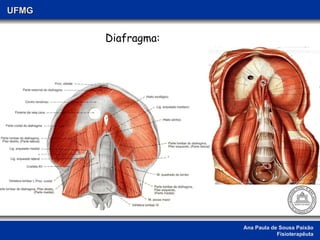 Ana Paula de Sousa Paixão Fisioterapêuta UFMG Diafragma: 