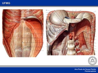 Ana Paula de Sousa Paixão Fisioterapêuta UFMG 