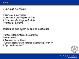 Ana Paula de Sousa Paixão Fisioterapêuta UFMG Junturas do tórax: Costelas e Vértebras Costelas e Cartilagens Costais Esterno e Cartilagens Costais Partes do Esterno Músculos que agem sobre as costelas: Intercostais internos e externos Subcostais Transverso do tórax Levantadores das Costelas e Serrátil posterior Quadrado lombar * 