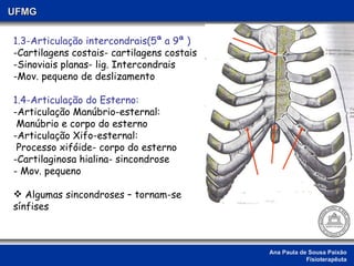 Ana Paula de Sousa Paixão Fisioterapêuta UFMG 1.3-Articulação intercondrais(5ª a 9ª ) -Cartilagens costais- cartilagens costais -Sinoviais planas- lig. Intercondrais -Mov. pequeno de deslizamento 1.4-Articulação do Esterno: Articulação Manúbrio-esternal: Manúbrio e corpo do esterno Articulação Xifo-esternal: Processo xifóide- corpo do esterno Cartilaginosa hialina- sincondrose Mov. pequeno Algumas sincondroses – tornam-se sínfises 