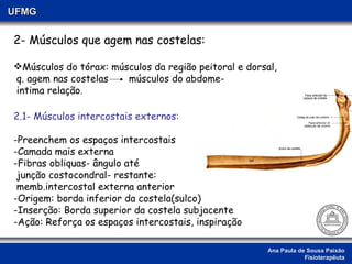Ana Paula de Sousa Paixão Fisioterapêuta UFMG 2- Músculos que agem nas costelas: Músculos do tórax: músculos da região peitoral e dorsal, q. agem nas costelas  músculos do abdome- intima relação . 2.1- Músculos intercostais externos: -Preenchem os espaços intercostais -Camada mais externa -Fibras obliquas- ângulo até  junção costocondral- restante: memb.intercostal externa anterior -Origem: borda inferior da costela(sulco) -Inserção: Borda superior da costela subjacente -Ação: Reforça os espaços intercostais, inspiração 