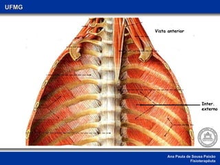 Ana Paula de Sousa Paixão Fisioterapêuta UFMG Inter. externo Vista anterior 