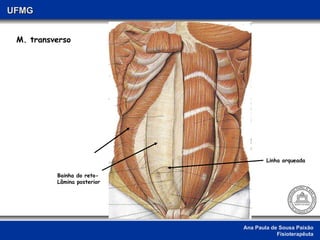 Ana Paula de Sousa Paixão Fisioterapêuta UFMG Bainha do reto- Lâmina posterior M. transverso Linha arqueada 