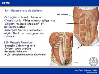 Ana Paula de Sousa Paixão Fisioterapêuta UFMG 2.4- Músculo reto do abdome: -Situação:  ao lado do obliquo ext.   -Classificação:  Vários ventres- poligastrico -Origem :  Processo xifoide, 5ª -6ª  cartilagens costais -Inserção:  Sínfise e crista ilíaca -Ação:  flexão de tronco, pressiona  o abdome 2.5- Músculo Piramidal  Situação: Inferior ao reto Origem: corpo do púbis Inserção: linha alva Ação: pressiona a parede abdominal  Linha semilunar 