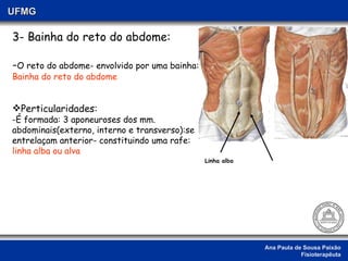 Ana Paula de Sousa Paixão Fisioterapêuta UFMG 3- Bainha do reto do abdome: - O reto do abdome- envolvido por uma bainha: Bainha do reto do abdome Perticularidades: -É formada: 3 aponeuroses dos mm.  abdominais(externo, interno e transverso):se entrelaçam anterior- constituindo uma rafe:  linha alba ou alva Linha alba 