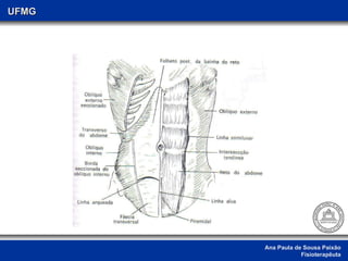 Ana Paula de Sousa Paixão Fisioterapêuta UFMG 