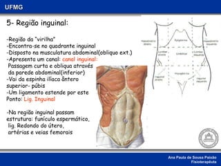 Ana Paula de Sousa Paixão Fisioterapêuta UFMG 5- Região inguinal: -Região da “virilha” -Encontra-se no quadrante inguinal -Disposto na musculatura abdominal(obliquo ext.) -Apresenta um canal:  canal inguinal: Passagem curta e obliqua através da parede abdominal(inferior) Vai da espinha ilíaca ântero superior- púbis Um ligamento estende por este  Ponto:  Lig. Inguinal Na região inguinal passam  estrutura: funículo espermático,  lig. Redondo do útero, artérias e veias femorais  