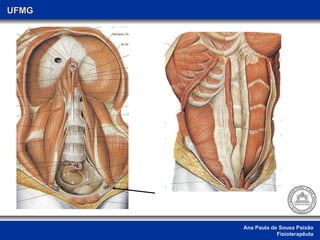Ana Paula de Sousa Paixão Fisioterapêuta UFMG 