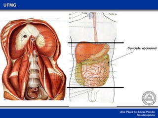 Ana Paula de Sousa Paixão Fisioterapêuta UFMG Cavidade abdominal 