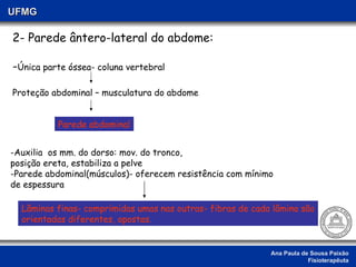 Ana Paula de Sousa Paixão Fisioterapêuta UFMG 2- Parede ântero-lateral do abdome: - Única parte óssea- coluna vertebral Proteção abdominal – musculatura do abdome Parede abdominal -Auxilia  os mm. do dorso: mov. do tronco, posição ereta, estabiliza a pelve -Parede abdominal(músculos)- oferecem resistência com mínimo  de espessura Lâminas finas- comprimidas umas nas outras- fibras de cada lâmina são orientadas diferentes, opostas. 