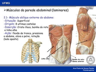 Ana Paula de Sousa Paixão Fisioterapêuta UFMG Músculos da parede abdominal:(laminares) 2.1- Músculo oblíquo externo do abdome: -Situação:  Superficial -Origem:  8 ultimas costelas -Inserção:  Crista ilíaca, bainha do reto e linha alba -Ação:  flexão de tronco, pressiona  o abdome, eleva a pelve, rotação (lado oposto) Bainha do reto-lâmina anterior Linha alba 