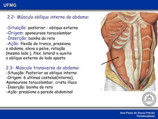 Ana Paula de Sousa Paixão Fisioterapêuta UFMG 2.2- Músculo oblíquo interno do abdome: -Situação:  posterior   - obliquo externo -Origem :  aponeurose toracolombar -Inserção:  bainha do reto -Ação:  flexão de tronco, pressiona  o abdome, eleva a pelve, rotação (mesmo lado ), flex. lateral e auxilia o obliquo externo do lado oposto 2.3- Músculo transverso do abdome : Situação: Posterior ao obliquo interno Origem: 6 ultimas costelas(interno), Aponeurose toracolombar, crista ilíaca Inserção: bainha do reto Ação: pressiona a parede abdominal  