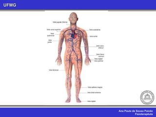 Ana Paula de Sousa Paixão Fisioterapêuta UFMG 