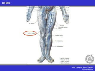 Ana Paula de Sousa Paixão Fisioterapêuta UFMG 