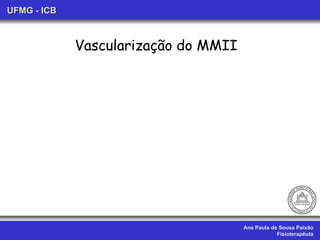 Ana Paula de Sousa Paixão Fisioterapêuta UFMG - ICB Vascularização do MMII 