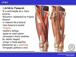 Ana Paula de Sousa Paixão Fisioterapêuta UFMG Artéria Femoral : É a continuação da a. ilíaca  externa  Encontra –se(medial) no trígono  femoral n. femoral lhe é lateral Veia femoral é medial Trajeto: -medial e oblíqua  -passa no canal adutor  -atravessa o hiato tendíneo (m. adutor magno) -atingir a fossa poplítea (denominar-se  a. poplítea ) Irrigação: glúteos e coxa 