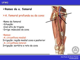 Ana Paula de Sousa Paixão Fisioterapêuta UFMG Ramos da a. femoral A. femoral profunda ou da coxa: Ramo da femoral Situação: nível alto do trigono  Irriga: músculos da coxa  Ramos: -A. circunflexa medial: Irrigação: região medial coxa e posterior -A. circunflexa lateral: Irrigação: sartório e reto da coxa 