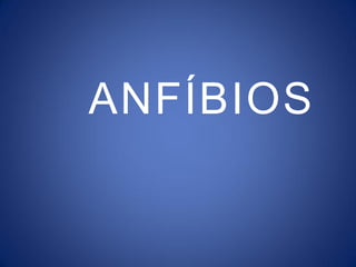 ANFÍBIOS
 
