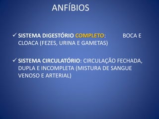 ANFÍBIOS
 SISTEMA DIGESTÓRIO COMPLETO: BOCA E
CLOACA (FEZES, URINA E GAMETAS)
 SISTEMA CIRCULATÓRIO: CIRCULAÇÃO FECHADA,
DUPLA E INCOMPLETA (MISTURA DE SANGUE
VENOSO E ARTERIAL)
 