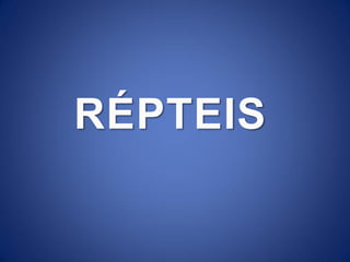 RÉPTEIS
 