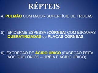 4) PULMÃO COM MAIOR SUPERFÍCIE DE TROCAS.
5) EPIDERME ESPESSA (CÓRNEA) COM ESCAMAS
QUERATINIZADAS ou PLACAS CÓRNEAS.
6) EXCREÇÃO DE ÁCIDO ÚRICO (EXCEÇÃO FEITA
AOS QUELÔNIOS – URÉIA E ÁCIDO ÚRICO).
RÉPTEIS
 
