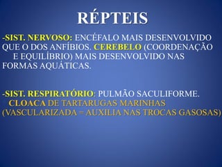 -SIST. NERVOSO: ENCÉFALO MAIS DESENVOLVIDO
QUE O DOS ANFÍBIOS. CEREBELO (COORDENAÇÃO
E EQUILÍBRIO) MAIS DESENVOLVIDO NAS
FORMAS AQUÁTICAS.
-SIST. RESPIRATÓRIO: PULMÃO SACULIFORME.
* CLOACA DE TARTARUGAS MARINHAS
(VASCULARIZADA = AUXILIA NAS TROCAS GASOSAS)
RÉPTEIS
 