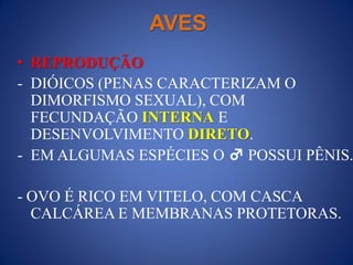 AVES
• REPRODUÇÃO
- DIÓICOS (PENAS CARACTERIZAM O
DIMORFISMO SEXUAL), COM
FECUNDAÇÃO INTERNA E
DESENVOLVIMENTO DIRETO.
- EM ALGUMAS ESPÉCIES O ♂ POSSUI PÊNIS.
- OVO É RICO EM VITELO, COM CASCA
CALCÁREA E MEMBRANAS PROTETORAS.
 