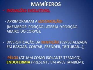 MAMÍFEROS
• INOVAÇÕES EVOLUTIVAS:
- APRIMORARAM A LOCOMOÇÃO:
(MEMBROS: POSIÇÃO LATERAL→POSIÇÃO
ABAIXO DO CORPO);
- DIVERSIFICAÇÃO DA DENTIÇÃO (ESPECIALIZADA
EM RASGAR, CORTAR, PRENDER, TRITURAR...);
- PÊLOS (ATUAM COMO ISOLANTE TÉRMICO);
ENDOTERMIA (PRESENTE EM AVES TAMBÉM);
 