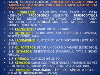 3) PLACENTÁRIOS OU EUTÉRIOS: APRESENTAM PLACENTA ONDE O
EMBRIÃO SE DESENVOLVE POR LONGO TEMPO. NASCEM BEM
DESENVOLVIDOS.
• 3.1- UNGULADOS: MAMÍFEROS COM CASCO DE DIETA
HERBÍVORA; PROBÓSCIDOS (ELEFANTE), PERISSODÁTILOS
POSSUEM DEDOS ÍMPARES(CAVALO, ZEBRA, ANTA,
RINOCERONTE...) E ARTIODÁTILOS POSSUEM DEDOS PARES
(SUÍNOS E RUMINANTES)
• 3.2- CARNÍVOROS: CANINO HIPERTROFIADO.
• 3.3- ROEDORES: DOIS INCISIVOS SUPERIORES (RATO, CAPIVARA,
PORCO-ESPINHO, PACA...).
• 3.4- LAGOMORFOS: QUATRO INCISIVOS SUPERIORES (COELHO E
LEBRE).
• 3.5- QUIRÓPTEROS: DEDOS UNIDOS PELO PATÁGIO (MORCEGOS).
• 3.6- XENARTOS: DESDENTADOS (TAMANDUÁ, TATU E BICHO
PREGUIÇA).
• 3.7- SIRÊNIOS: AQUÁTICOS (PEIXE-BOI).
• 3.8- CETÁCEOS: AQUÁTICOS, APRESENTAM BARBATANAS EM VEZ
DE DENTES E ESPIRÁCULO P/ RESP. (BOTO, BALEIA, GOLFINHO).
• 3.9- PRIMATAS: PROSSÍMIOS (LÊMURES), SÍMIOS (GORILA E
MACACO) E HOMINÍDEOS (HOMEM).
 