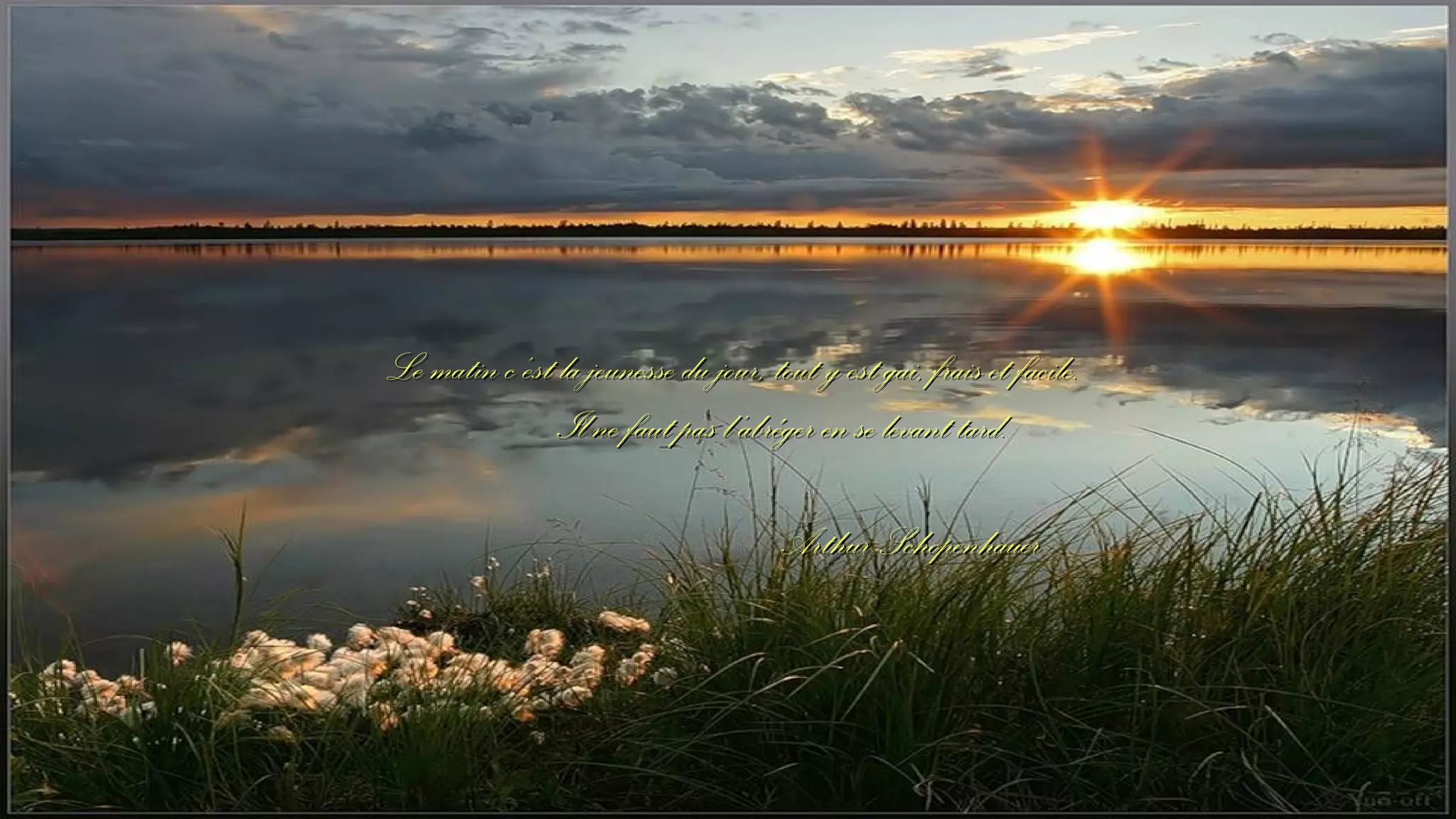 Le matin c’est la jeunesse du jour, tout y est gai, frais et facile.
Il ne faut pas l’abréger en se levant tard.
Arthur Schopenhauer