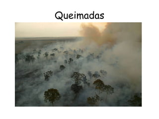 Queimadas 