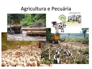 Agricultura e Pecuária 