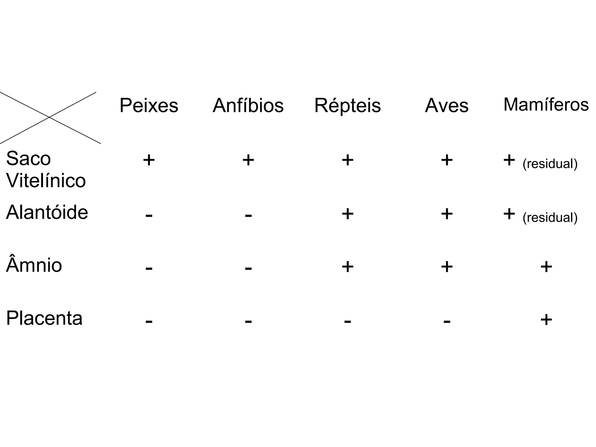 Peixes Anfíbios Répteis Aves Mamíferos 
Saco 
Vitelínico 
+ + + + + (residual) 
Alantóide - - + + + (residual) 
Âmnio - - + + + 
Placenta - - - - + 
 