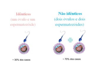 ~ 30% dos casos ~ 70% dos casos 
 