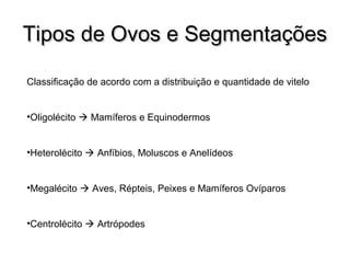 TTiippooss ddee OOvvooss ee SSeeggmmeennttaaççõõeess 
Classificação de acordo com a distribuição e quantidade de vitelo 
•Oligolécito  Mamíferos e Equinodermos 
•Heterolécito  Anfíbios, Moluscos e Anelídeos 
•Megalécito  Aves, Répteis, Peixes e Mamíferos Ovíparos 
•Centrolécito  Artrópodes 
 