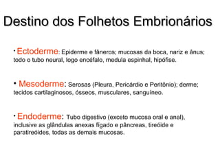DDeessttiinnoo ddooss FFoollhheettooss EEmmbbrriioonnáárriiooss 
• Ectoderme: Epiderme e fâneros; mucosas da boca, nariz e ânus; 
todo o tubo neural, logo encéfalo, medula espinhal, hipófise. 
• Mesoderme: Serosas (Pleura, Pericárdio e Peritônio); derme; 
tecidos cartilaginosos, ósseos, musculares, sanguíneo. 
• Endoderme: Tubo digestivo (exceto mucosa oral e anal), 
inclusive as glândulas anexas fígado e pâncreas, tireóide e 
paratireóides, todas as demais mucosas. 
 