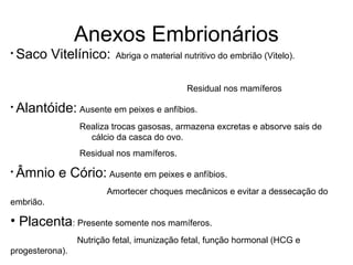 Anexos Embrionários 
• Saco Vitelínico: Abriga o material nutritivo do embrião (Vitelo). 
Residual nos mamíferos 
• Alantóide: Ausente em peixes e anfíbios. 
Realiza trocas gasosas, armazena excretas e absorve sais de 
cálcio da casca do ovo. 
Residual nos mamíferos. 
• Âmnio e Cório: Ausente em peixes e anfíbios. 
Amortecer choques mecânicos e evitar a dessecação do 
embrião. 
• Placenta: Presente somente nos mamíferos. 
Nutrição fetal, imunização fetal, função hormonal (HCG e 
progesterona). 
 