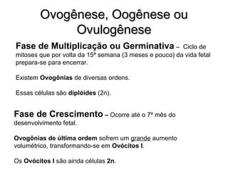 OOvvooggêênneessee,, OOooggêênneessee oouu 
OOvvuullooggêênneessee 
Fase de Multiplicação ou Germinativa – Ciclo de 
mitoses que por volta da 15ª semana (3 meses e pouco) da vida fetal 
prepara-se para encerrar. 
Existem Ovogônias de diversas ordens. 
Essas células são diplóides (2n). 
Fase de Crescimento – Ocorre até o 7º mês do 
desenvolvimento fetal. 
Ovogônias de última ordem sofrem um grande aumento 
volumétrico, transformando-se em Ovócitos I. 
Os Ovócitos I são ainda células 2n. 
 
