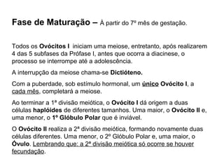 Fase de Maturação – À partir do 7º mês de gestação. 
Todos os Ovócitos I iniciam uma meiose, entretanto, após realizarem 
4 das 5 subfases da Prófase I, antes que ocorra a diacinese, o 
processo se interrompe até a adolescência. 
A interrupção da meiose chama-se Dictióteno. 
Com a puberdade, sob estímulo hormonal, um único Ovócito I, a 
cada mês, completará a meiose. 
Ao terminar a 1ª divisão meiótica, o Ovócito I dá origem a duas 
células haplóides de diferentes tamanhos. Uma maior, o Ovócito II e, 
uma menor, o 1º Glóbulo Polar que é inviável. 
O Ovócito II realiza a 2ª divisão meiótica, formando novamente duas 
células diferentes. Uma menor, o 2º Glóbulo Polar e, uma maior, o 
Óvulo. Lembrando que: a 2ª divisão meiótica só ocorre se houver 
fecundação. 
 