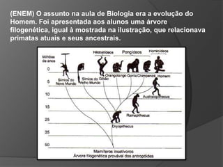 (ENEM) O assunto na aula de Biologia era a evolução do Homem. Foi apresentada aos alunos uma árvore filogenética, igual à mostrada na ilustração, que relacionava primatas atuais e seus ancestrais. 