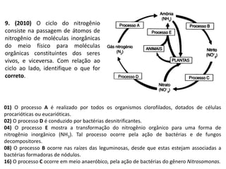 9. (2010) O ciclo do nitrogênio
consiste na passagem de átomos de
nitrogênio de moléculas inorgânicas
do meio físico para moléculas
orgânicas constituintes dos seres
vivos, e viceversa. Com relação ao
ciclo ao lado, identifique o que for
correto.
01) O processo A é realizado por todos os organismos clorofilados, dotados de células
procarióticas ou eucarióticas.
02) O processo D é conduzido por bactérias desnitrificantes.
04) O processo E mostra a transformação do nitrogênio orgânico para uma forma de
nitrogênio inorgânico (NH3). Tal processo ocorre pela ação de bactérias e de fungos
decompositores.
08) O processo B ocorre nas raízes das leguminosas, desde que estas estejam associadas a
bactérias formadoras de nódulos.
16) O processo C ocorre em meio anaeróbico, pela ação de bactérias do gênero Nitrosomonas.
 